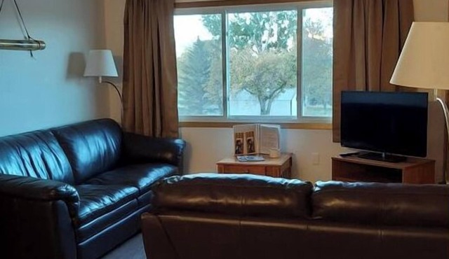 Classic 2 Bedroom Condo 1 Bathroom #1
