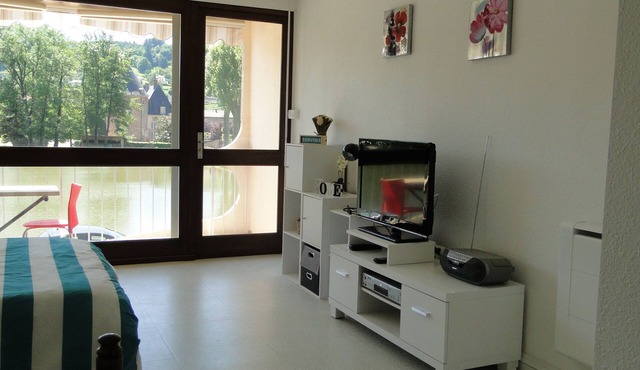 Comfortable studio with view of pond and Chateau in Chauffailles