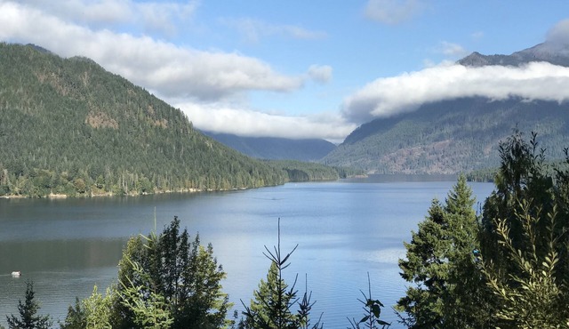 Comfy cabin at lake Cushman Near Olympic National Park & Forest