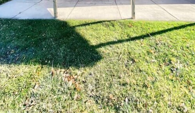 Comfy Pocatello home-central to park and grocery.