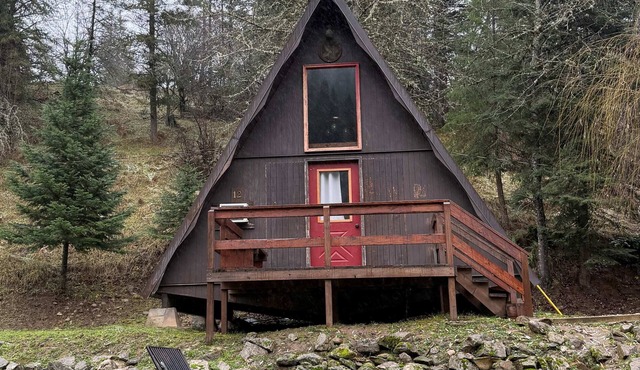 Cozy 1-bedroom cabin in gorgeous Kooskia with AC