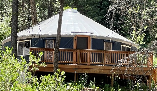Cozy and POSH-est Yurt in gorgeous Boise National Forest