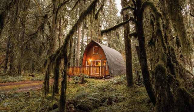 Cozy Arched Cabin, Couple's Retreat, NEW Hot Tub & Barrel Sauna