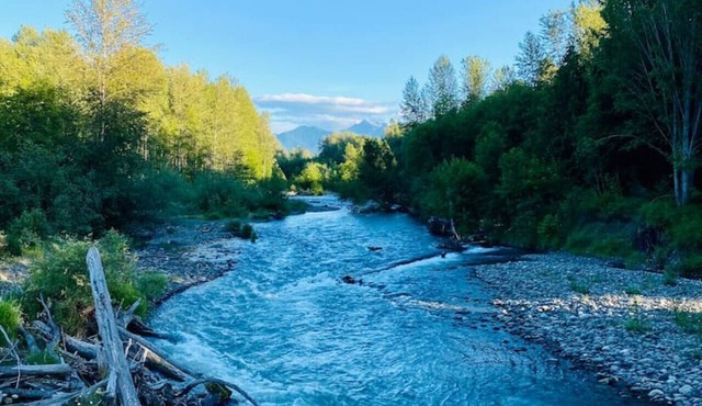 Cozy cottage near Olympic National Park, hiking trails & Dungeness River