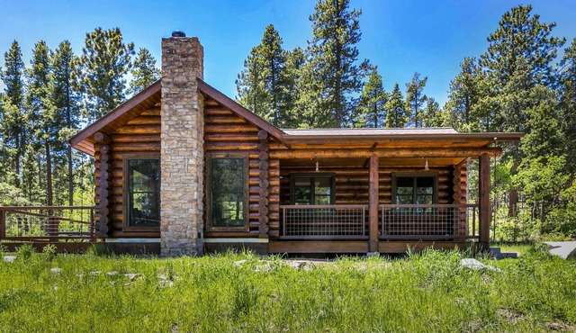 Cozy mountain cabin 1 hour from Denver backs up to National Forest EV CHARGING!