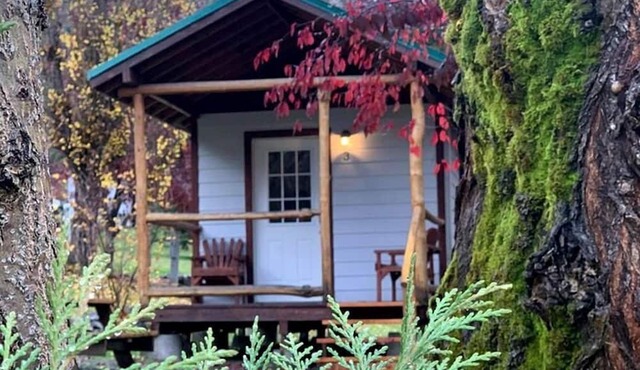 Cozy Studio-Style Cabin for a Glamping Getaway in Clearwater, Oregon