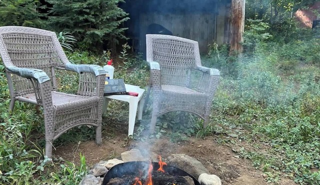Creekside Cabin, Pet Friendly, Lake Access!