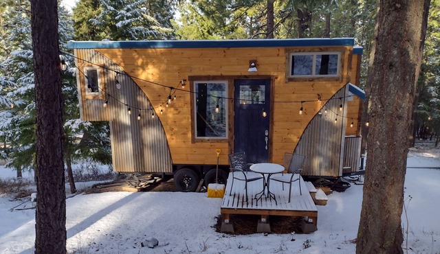 Custom Tiny Home on 10 wooded acres