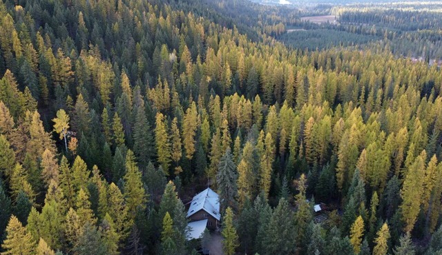 Cute Tiny House in the Woods for a Peaceful Getaway in Nature near Clark Fork, Idaho