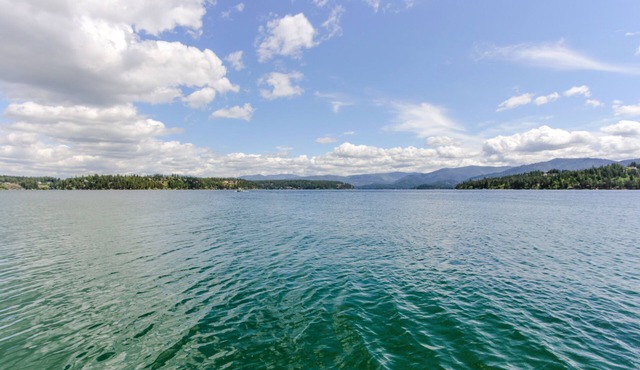Dog-friendly waterfront cabin w/dock, boat slip, patio, deck & mountain views