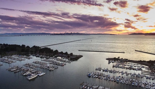 DoubleTree by Hilton Hotel Berkeley Marina in Berkeley