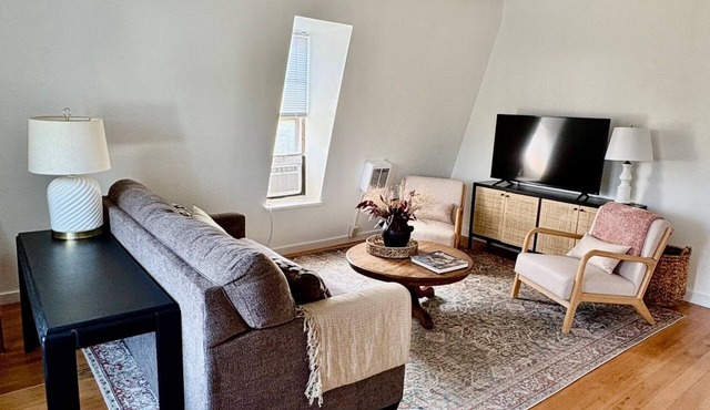 Downtown Spacious Penthouse