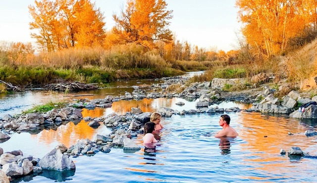Farm Retreat Apartment & 2 Cabins near rustic hot springs