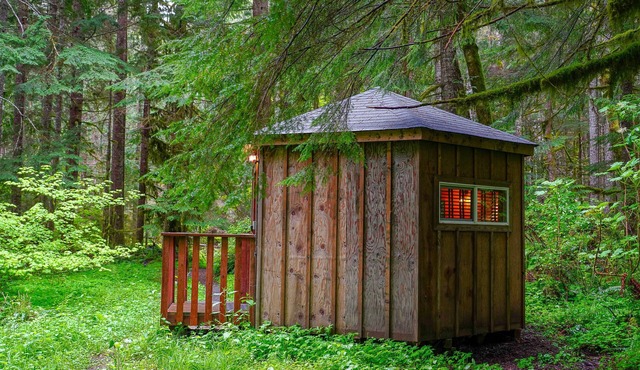 Glamping Sunrise Yurt with SHARED Bath,1 Mile from Mt Rainier Nisqually Entrance
