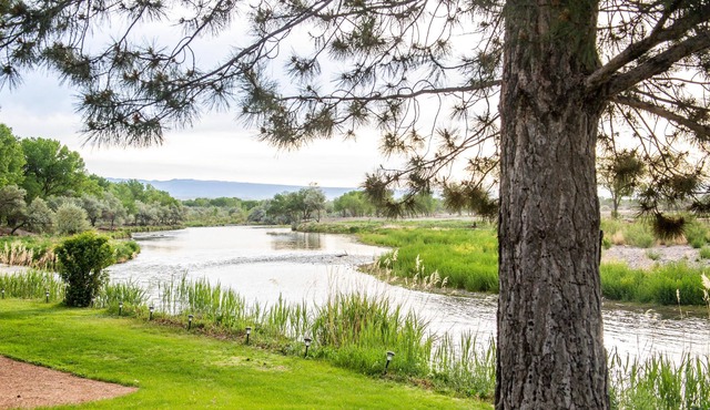 Gunnison River View! Relax and Experience True Nature Right Outside Your Door