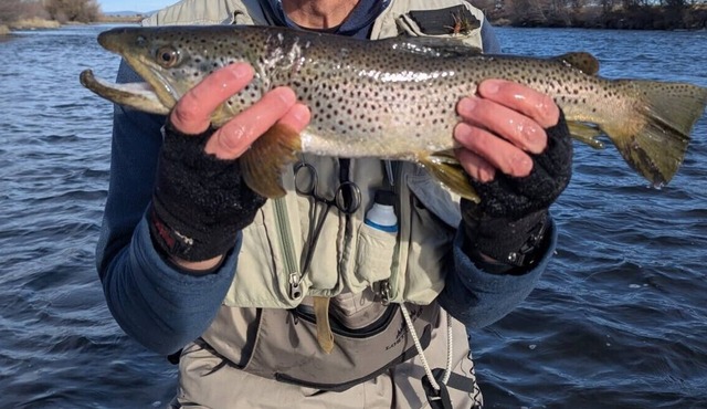 Henry's Fork Ranch offers 2 miles of private river access and a lot more!