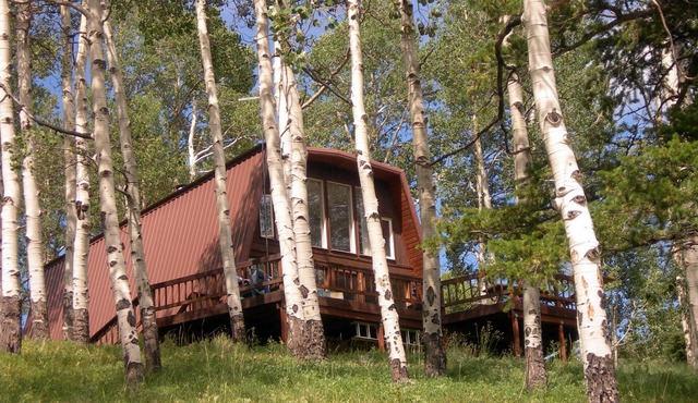 Hillside Cabin with Panorama Views of the San Juans