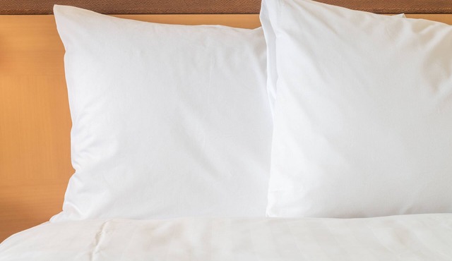 Holiday Inn Clarkston - Lewiston by IHG