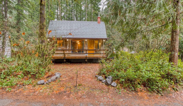 Intimate dog-friendly retreat with free WiFi, wood stove, & gas grill