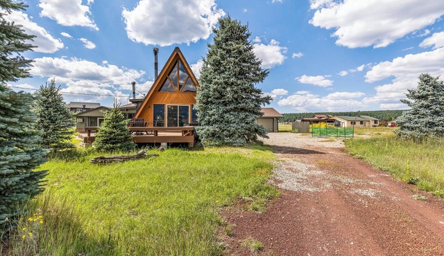 It's Aspen time in Flagstaff | Local Discounts