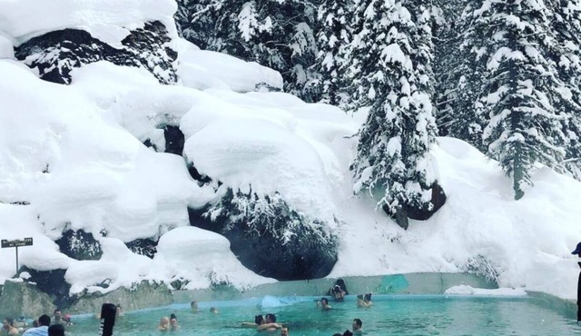 Jackson Yellowstone Wildlife Mountain Cabin Ski Fish GolfHike Snowmobile Hottub