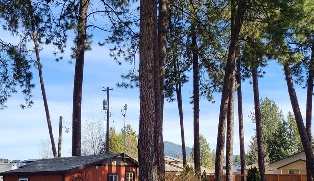 Lumberjack Bunkhouse...in the Heart of Coeur d'Alene, Idaho. Sleeps 8.