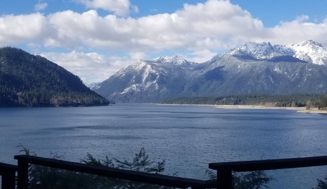 Luxurious Retreat on Lake Cushman, Come and Enjoy!