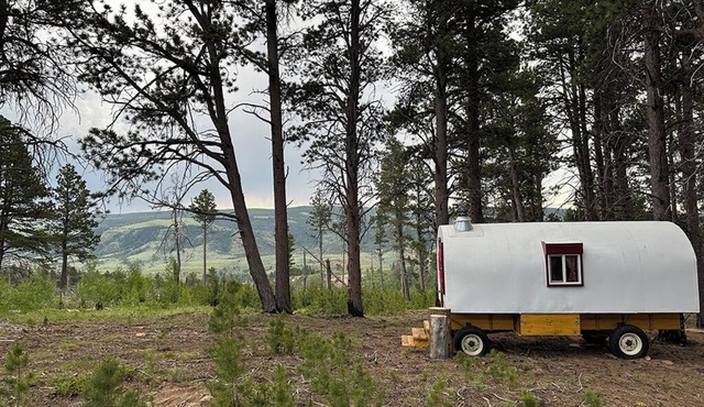 Luxuriously Rustic Hand-Crafted Sheep Wagon in Private Wooded Area with Views in Casper