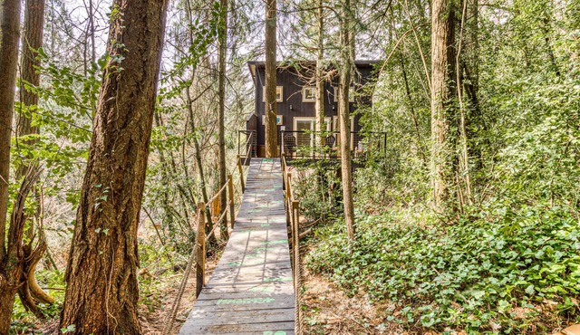 Magical forest treehouse with zip line - dog-friendly - 10 minutes to downtown