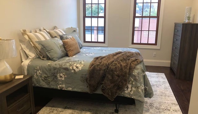 Modern Downtown Loft- Fast Wi-Fi, Walk to Cafes & Shops -Work + Relax