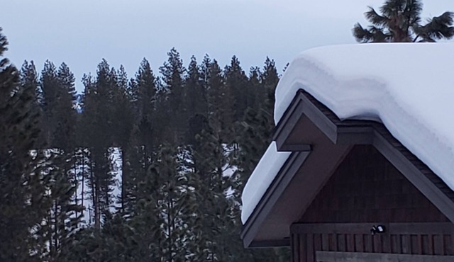 Mountain air and room to roam!