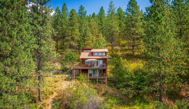 Mountain Cabin Surrounded by Wilderness