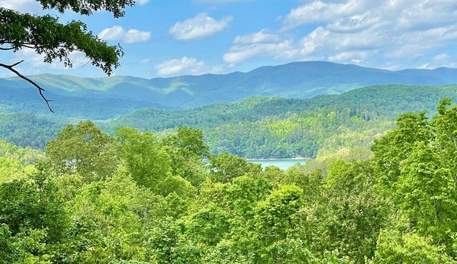 Mountain/Lake view. Hike, winery water sports in Bear Paw. New & handicap kind.