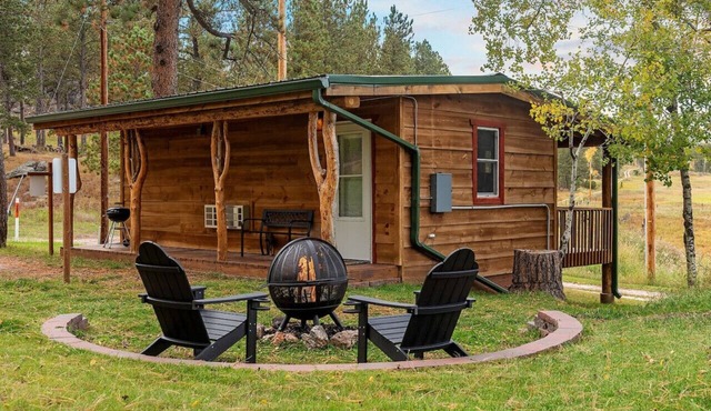 Mountain View Gem: Firepit + Sauna + Enjoy Wildlife in Custer