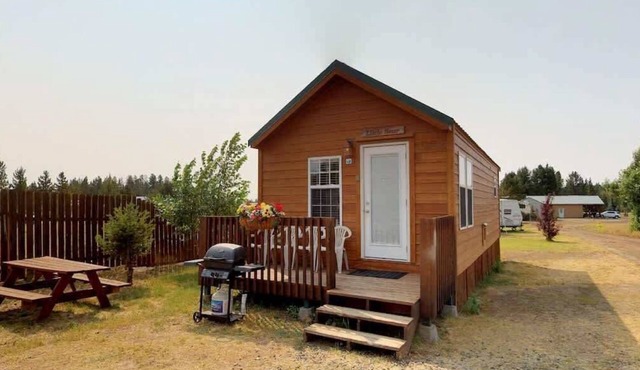 Mountain Views | Fire Pit | little bear cabin
