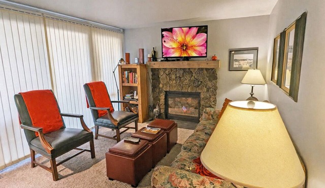 Mt View Lodge 36 - SHARC, Pet Friendly, Fireplace, Views!