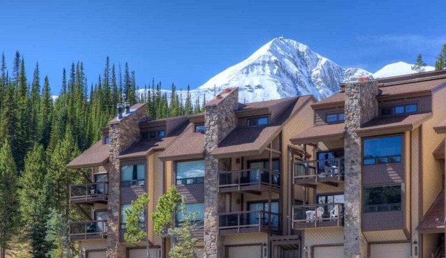 New Reno Ski In/Out Lux Modern Duplex w/Private Hot Tub, Heated Garage, Views