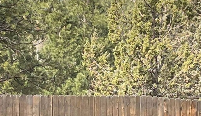 NW Bend House on 2.5 acre wooded lot in quiet wooded with mountain views.