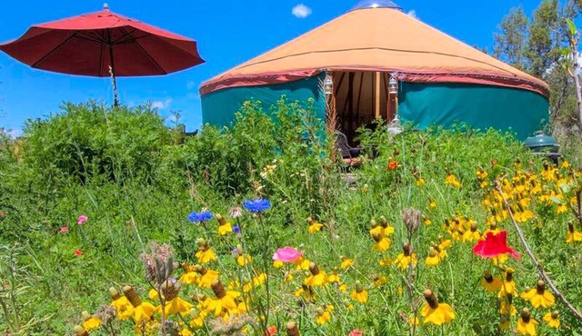 Original and Beautifully Furnished Yurt for a Romantic Getaway near Aspen, Colorado