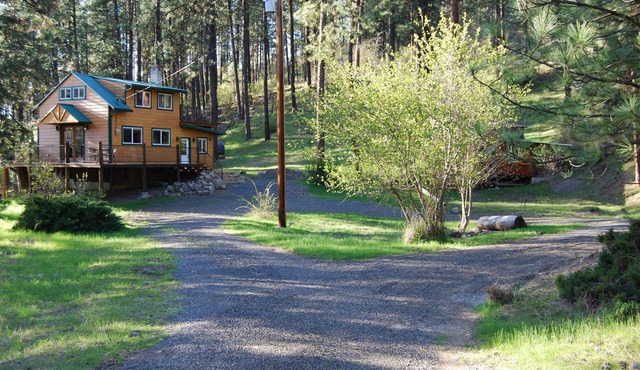 Peaceful, Private Cabin overlooking the Clearwater River. Dbl occ rates