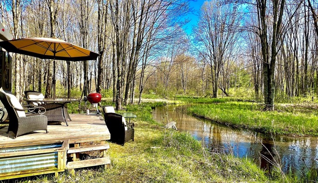 Peaceful stream side retreat in private forest