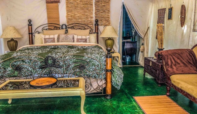 Pet Friendly Zen Luxury Glamping tent