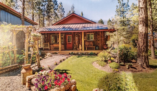 Pinecone Cabin, Couples and Family Retreat, hot tub, pet friendly, private!