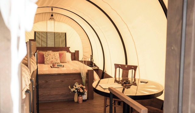 Pioneer's Dream~1883 Inspired~Covered Wagon~Bison~Private Bathroom~Heat and A/C