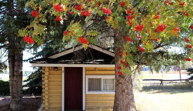 Quaint Log Cabin for Two near Henry's Fork for an Unforgettable Getaway in Ashton, Idaho