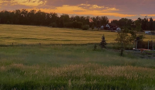 Quiet Country Setting