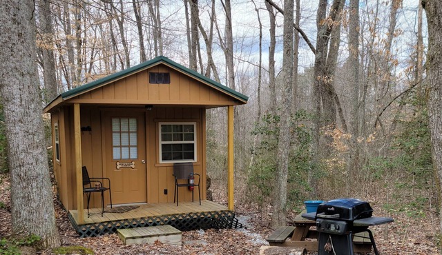 Quiet Get-a-Way Cabin at The Retriever Retreat in Clarkrange