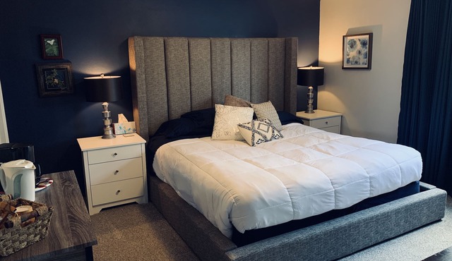 Quiet, private bath and comfy, cozy - king-size bed! Germ Protected!
