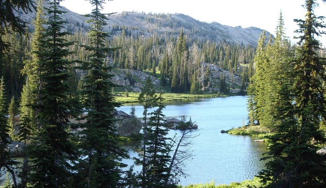 REMOTE Private Mountain Lake Cabin