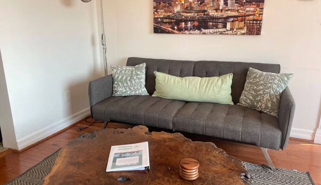River View 1-bedroom house with WiFi Close to Downtown & Stadiums in Cincinnati